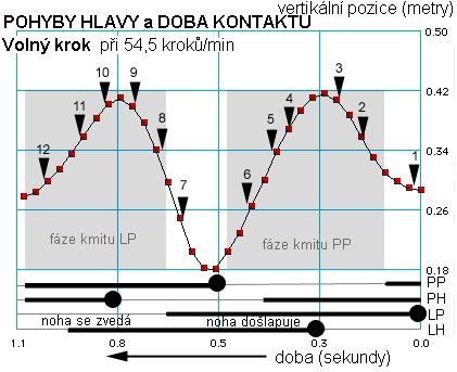 Graf volný krok: pohyb hlavy a doba kontaktu