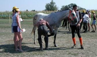 MVDr. Vinode Col Barhanger provádí ohybové zkoušky u Ipside de Boulsegureho