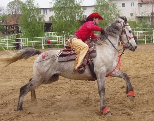 martingal je povolenou výstrojí pro barrel race