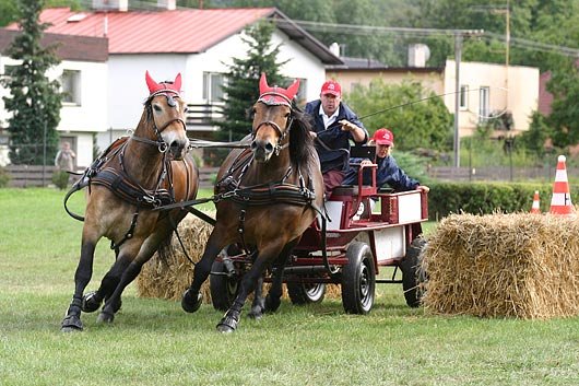 Jaroslav Petřek (JK Zubří), Sasanka a Rula