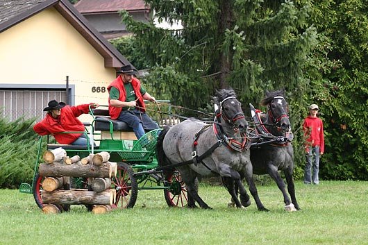 Petr Vlašic (Ranč Ladná), Elza a Lucka