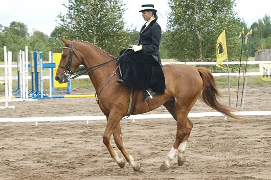 Jana Kosařová a Akim - na špičkách :o)