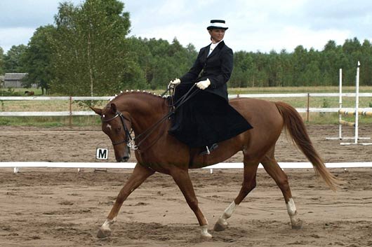 Jana Kosařová - Akim.