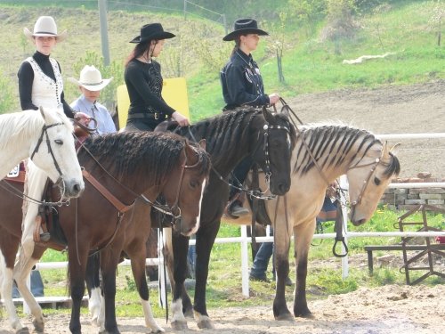 Jezdci seřazení v aréně při horsemanshipu