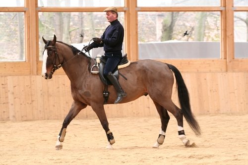 Jezdec se učí ovládat své tělo a přitom uvolnit koni hubu, ten zatím není uvolněný a napjatě čeká, co se po něm bude chtít