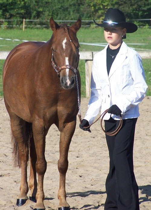 Kůň i soutěžící vystrojení pro showmanship at halter.