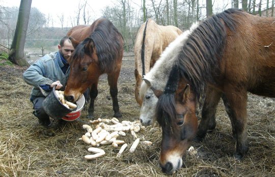 Nadílka bodla! Na Farmě GG vládla spokojenost. 