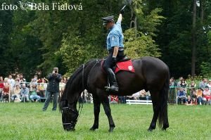 Městská policie Pardubice