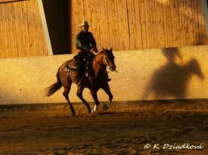 MČR reining 2009