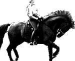 holandská drezurní jezdkyně opracovává koně