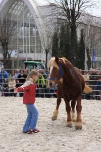 I diváci si mohou vyzkoušet práci s koňmi!