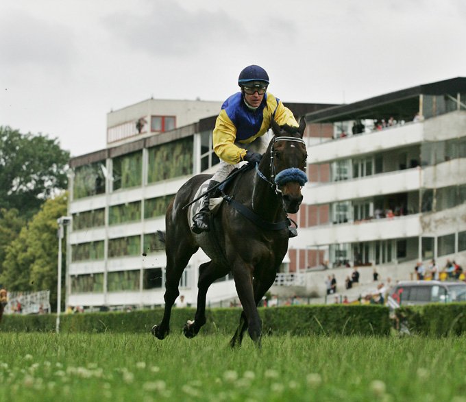 Nejúspěšnějším koněm v historii Zlatého poháru je Royal Mougins. Nejúspěšnějším koněm v historii Zlatého poháru je Royal Mougins.
