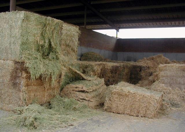 plesnivé balíky sena plesnivé balíky sena