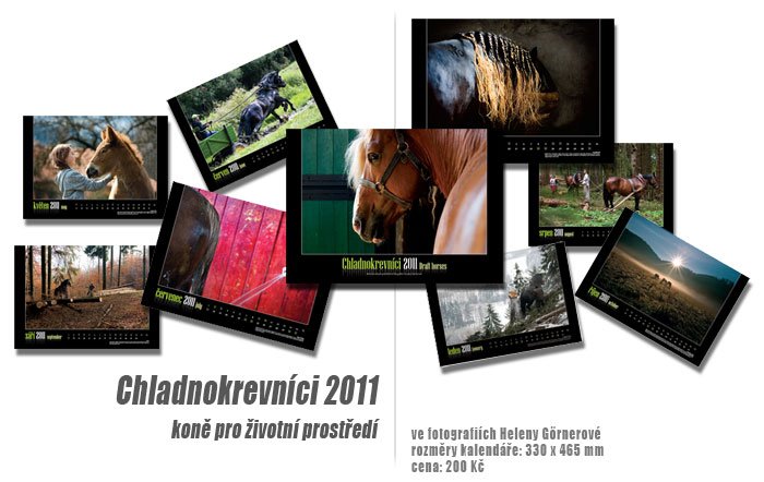 Nástěnný kalendář CHLADNOKREVNÍCI 2011