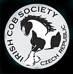 Logo ICS CZ