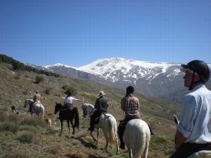 trail v Sierra Nevada