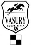Vasury Kolesa logo