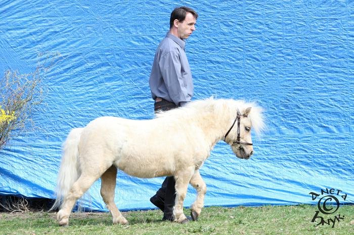 Bo v.d. Veldhoef Bo v.d. Veldhoef