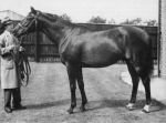 Nearco