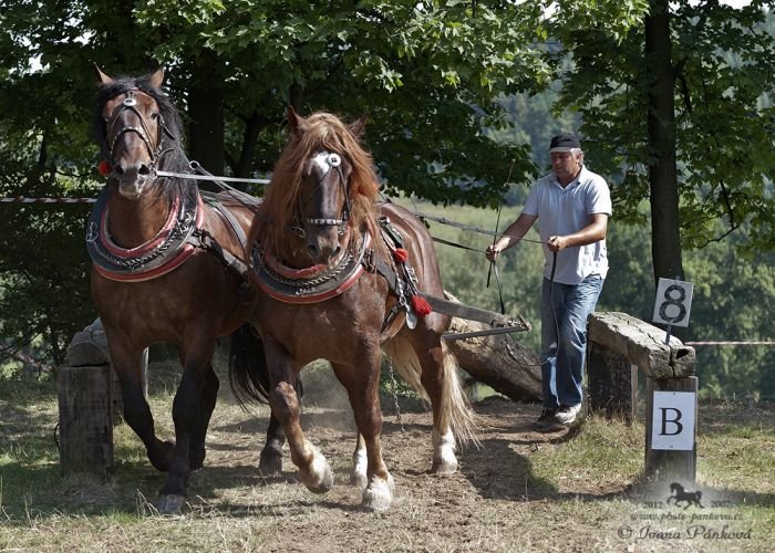 ovladatelnost v kládě