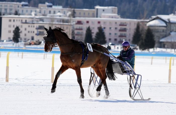 Quabri Sauvage Quabri Sauvage