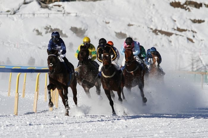 poslední dostih poslední dostih