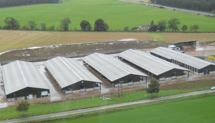 Vlnitá střešní krytina na mléčné farmě ve Skotsku