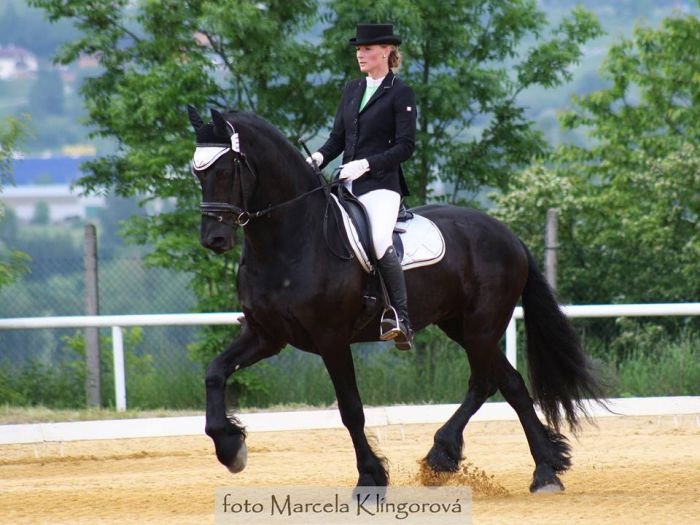 Sandra Močičková - Rinus W Sandra Močičková - Rinus W