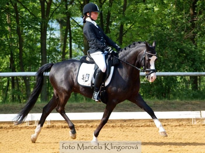 Tereza Markusková - Limetree Aracorn Tereza Markusková - Limetree Aracorn