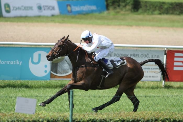 Orphee des Blins Orphee des Blins