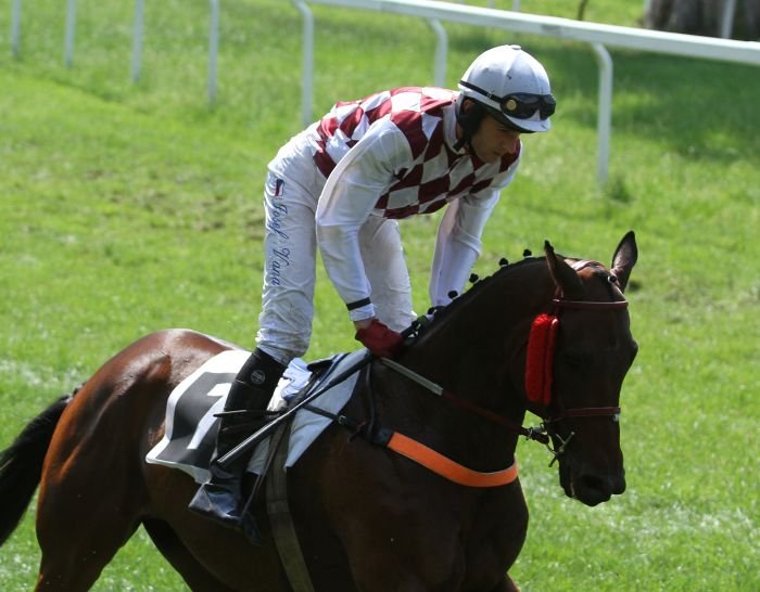 Silver Regent Silver Regent