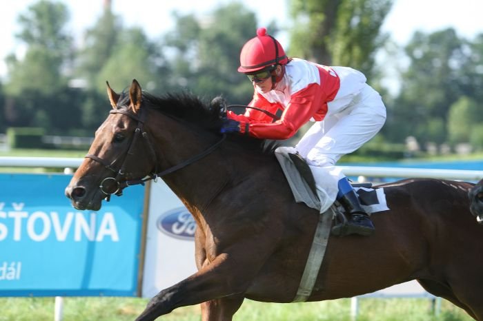 Tycho Brahe Tycho Brahe