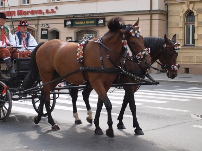 Dožínky