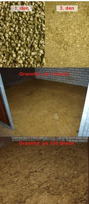 Granofyt po dnech