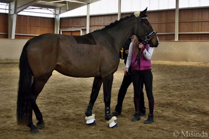 La Panamera-LS po Lord Caletto La Panamera-LS po Lord Caletto