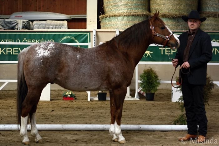 Ma Starfighter Ma Starfighter