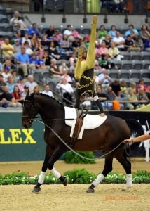 Lukáš Klouda na WEG 2010