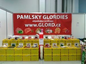 Pamlsky Glordies