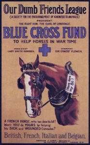 Blue Cross Fund