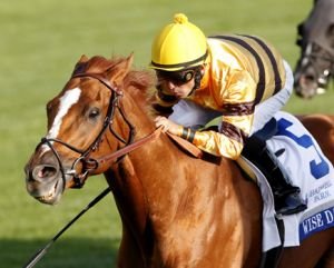 Wise Dan