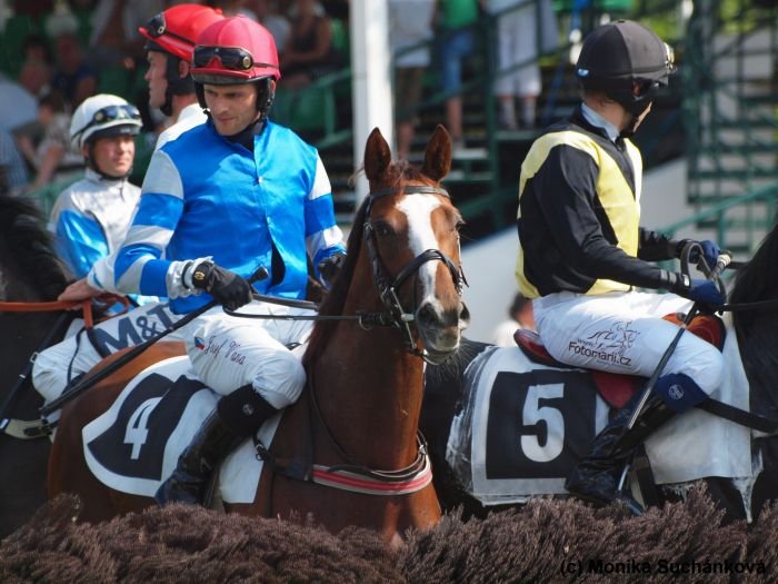 Koenigin Mum Koenigin Mum