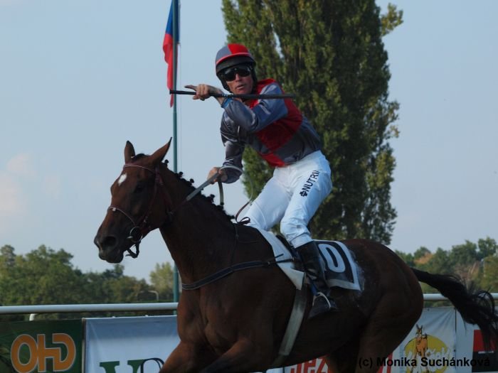 Sun Belina Sun Belina