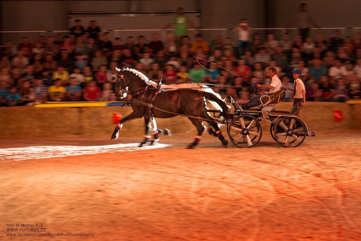 starokladrubské dvojspřeží v noční show