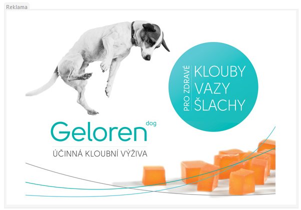 Geloren pro psy