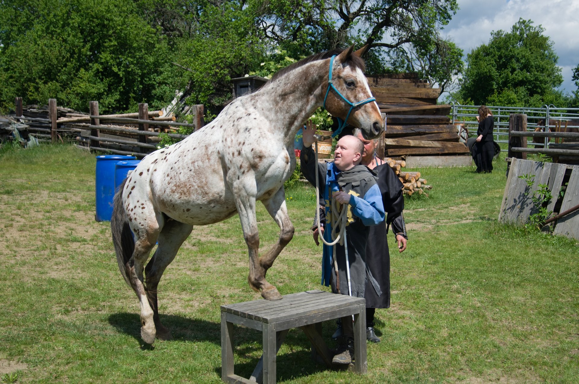 Práce s koněm ze země - nevidomý rytíř Václav