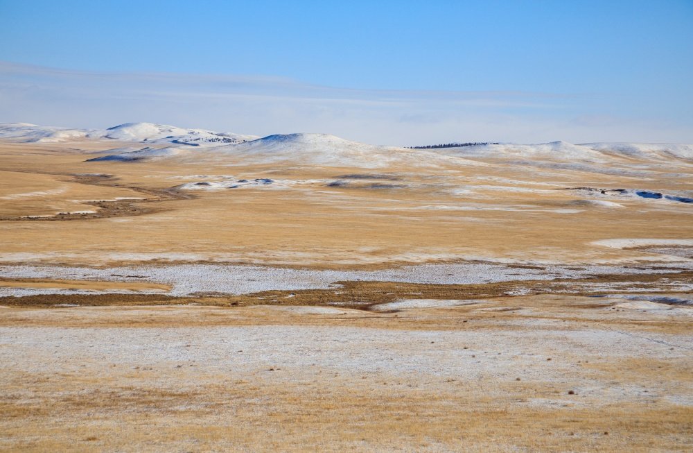 Údolí klášterů s klikatící se Hákovitou řekou (řeka Degé). Koně Převalského by tuto oblast na východě Mongolska mohli obydlet již v roce 2026