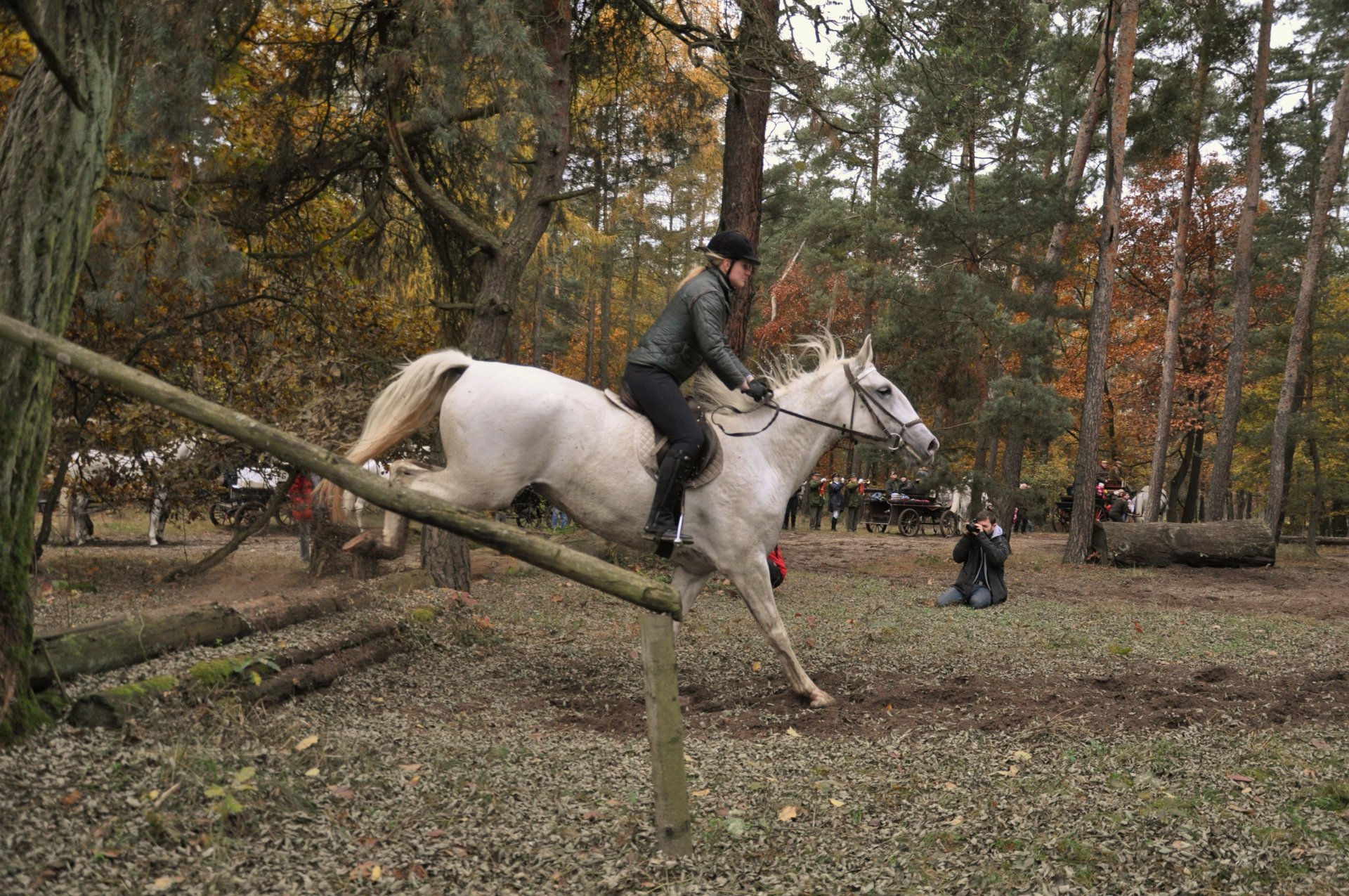 Jezdci jedoucí v zástupu musí dodržovat minimální rozestup 2,5 metru tak, aby mezi ušima svého koně viděli kořen ocasu koně před sebou