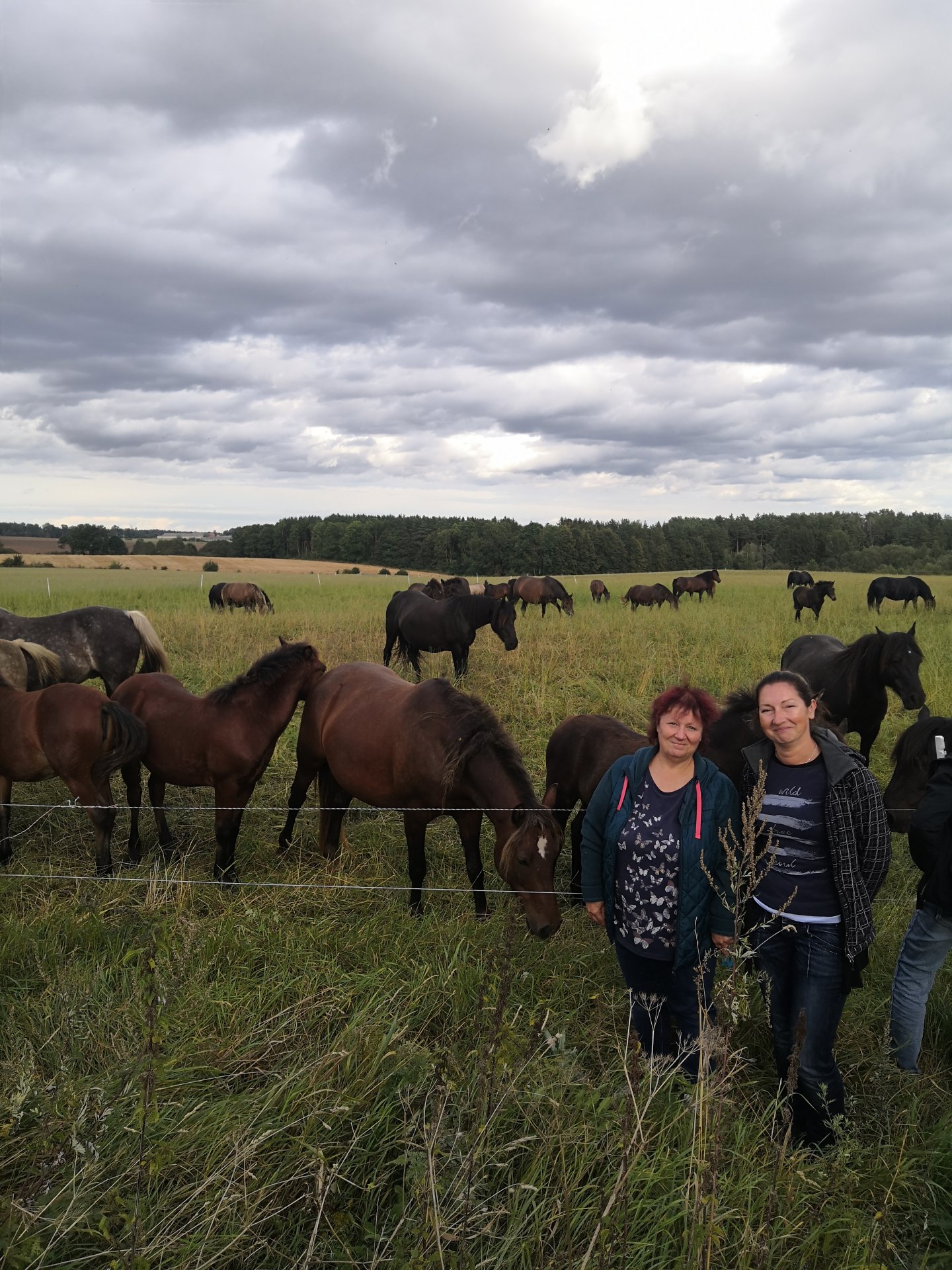 Litva: chovné stádo koní Žemaitukas a účastnice Jana Krejčová s Vandou Caskovou