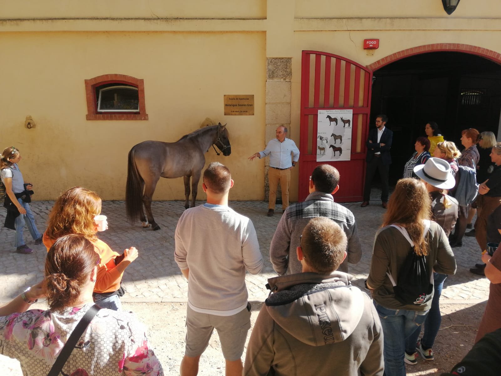 Portugalsko: přednáška, koně Sorraia