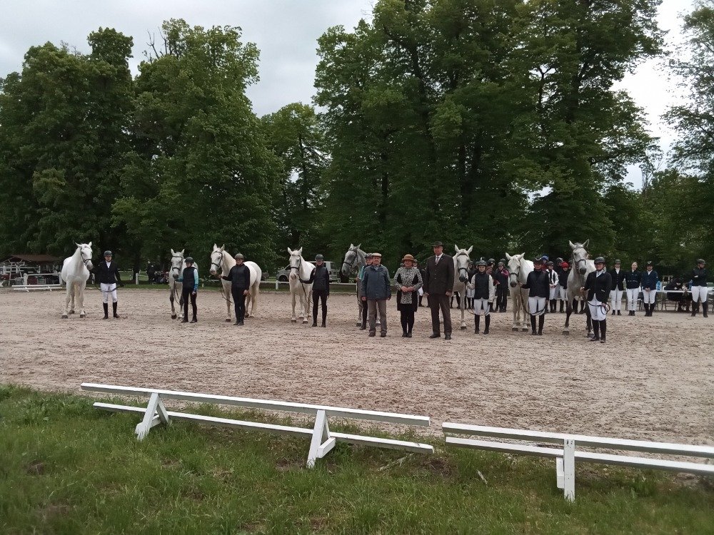 Společná fotografie se starokladrubskými koňmi a účastníky akce
